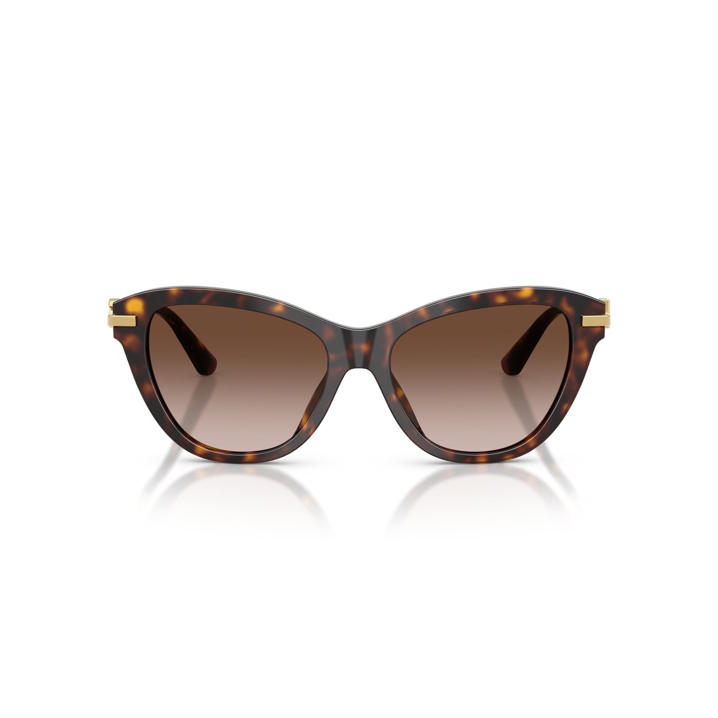 0Dg4534 Tortoiseshell Cat-Eye Sunglasses with Gold Metal Temples