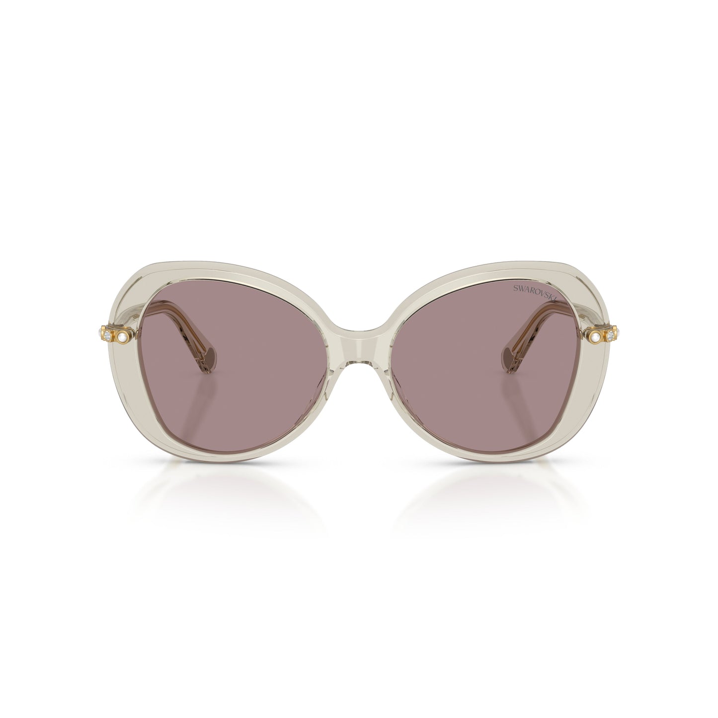 0Sk6059 Large Rounded Acetate Sunglasses with Gold-Toned Temples