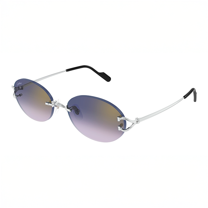 CT0551S Signature C Round Sunglasses