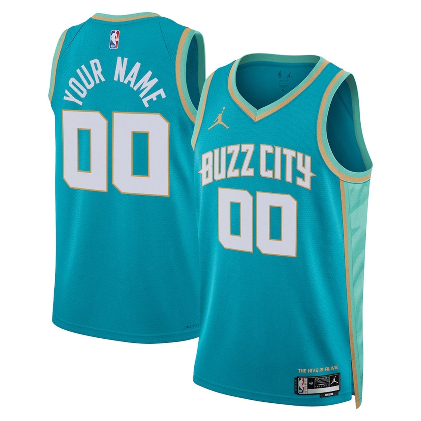 Charlotte Hornets Blank Custom Jersey