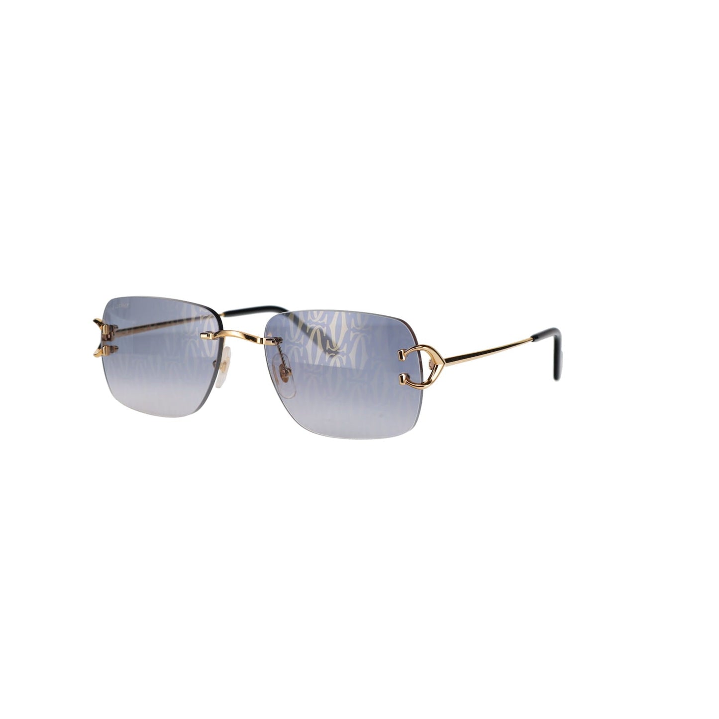 CT0330S Signature C Sunglasses