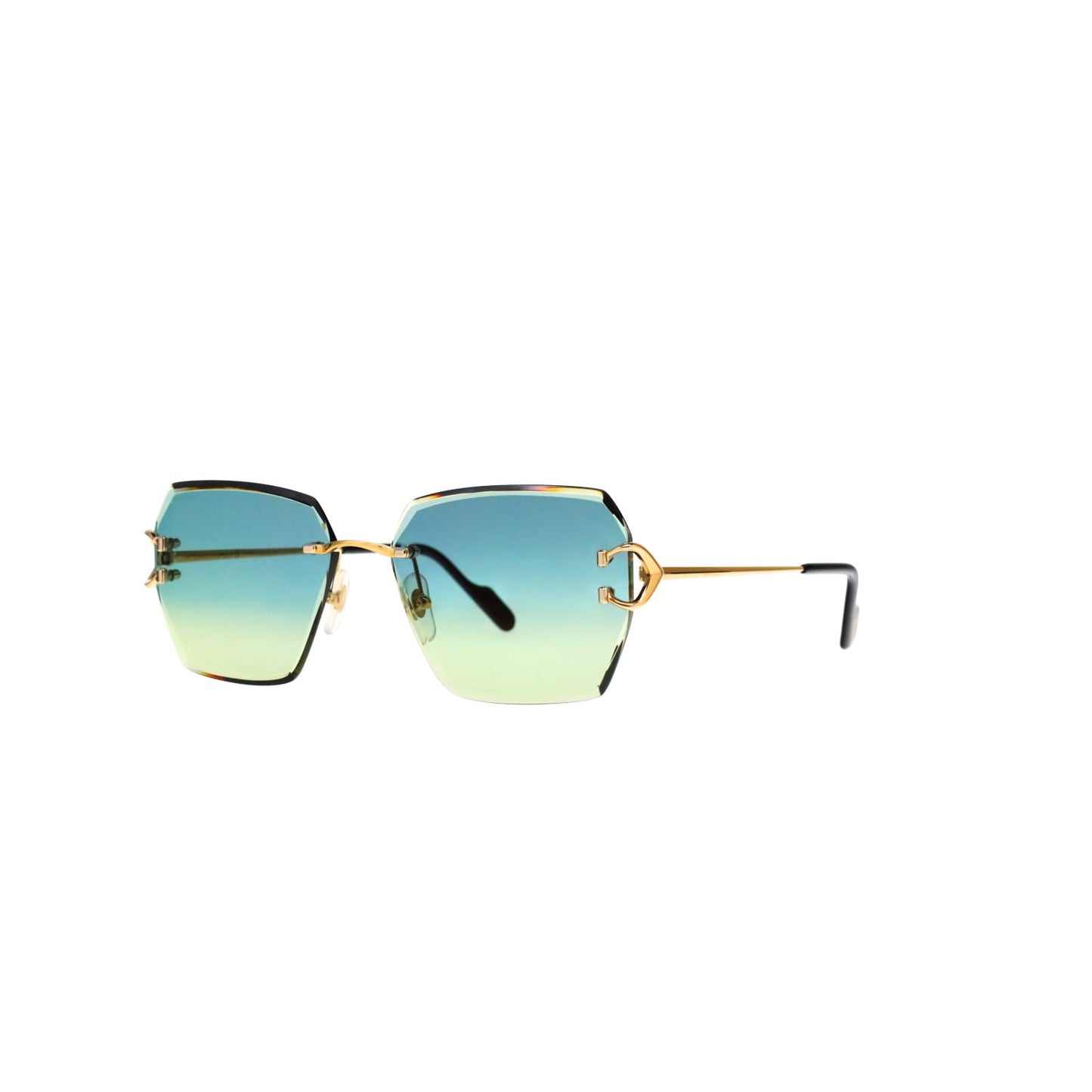 CT0466S Signature C Sunglasses