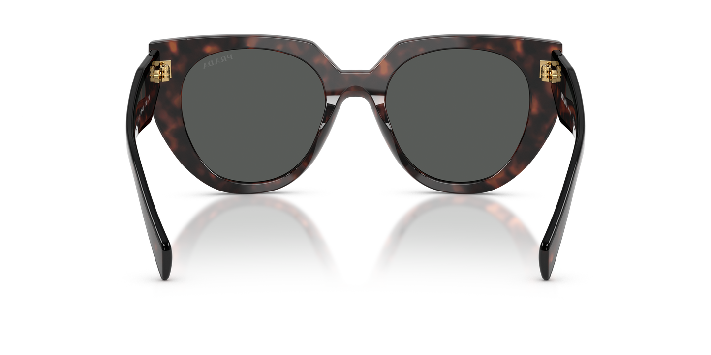 PR 14WS Sunglasses