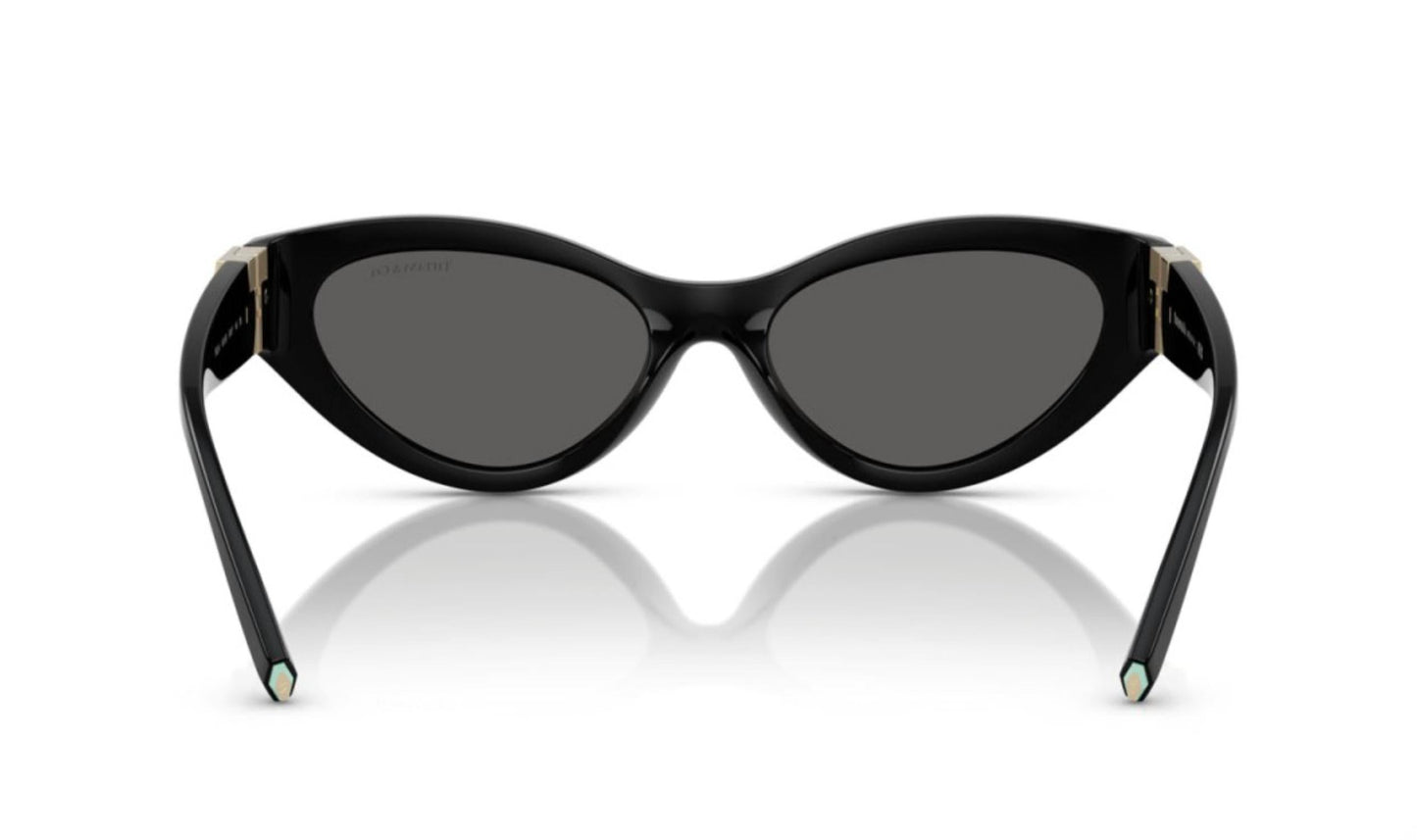 Women's Tf 4225U Sunglasses In Dark Grey