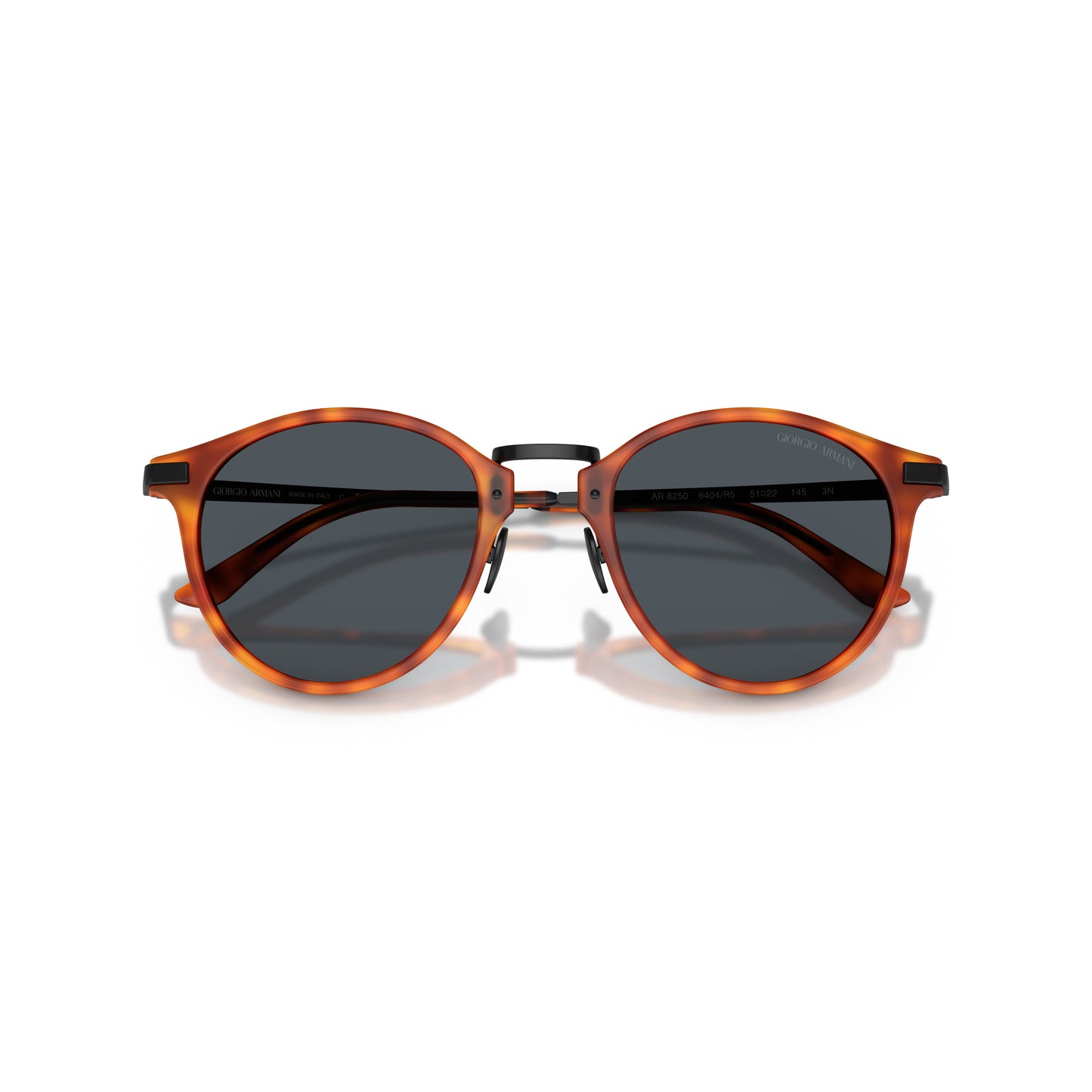 0Ar8250 Tortoiseshell Acetate Sunglasses