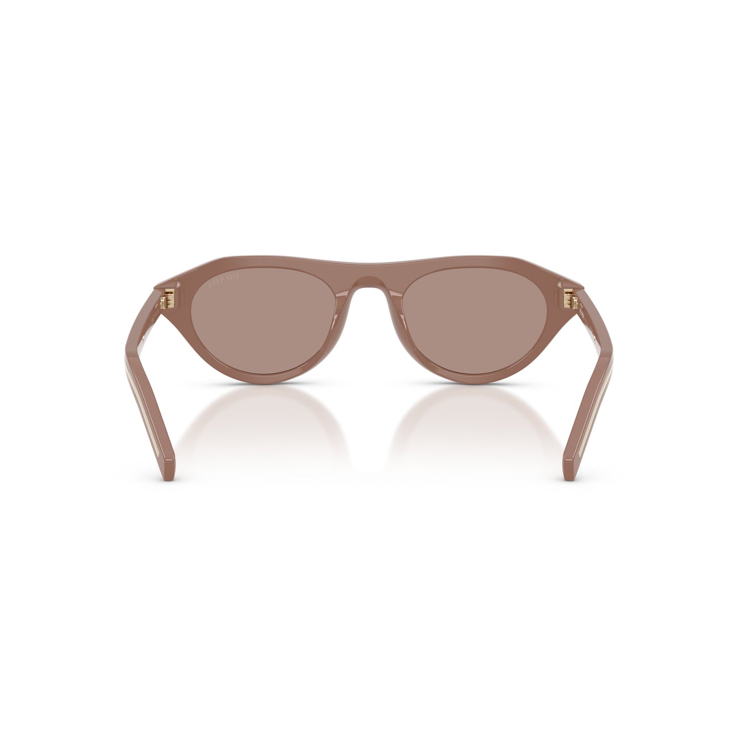 Rounded Cat-Eye Acetate Sunglasses With Gold Accents