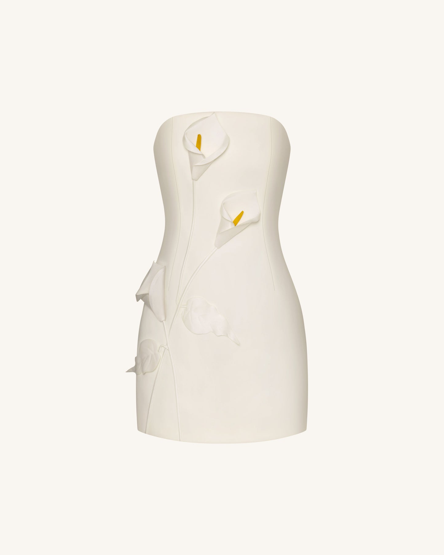 Strapless Floral Appliqué Dress - White