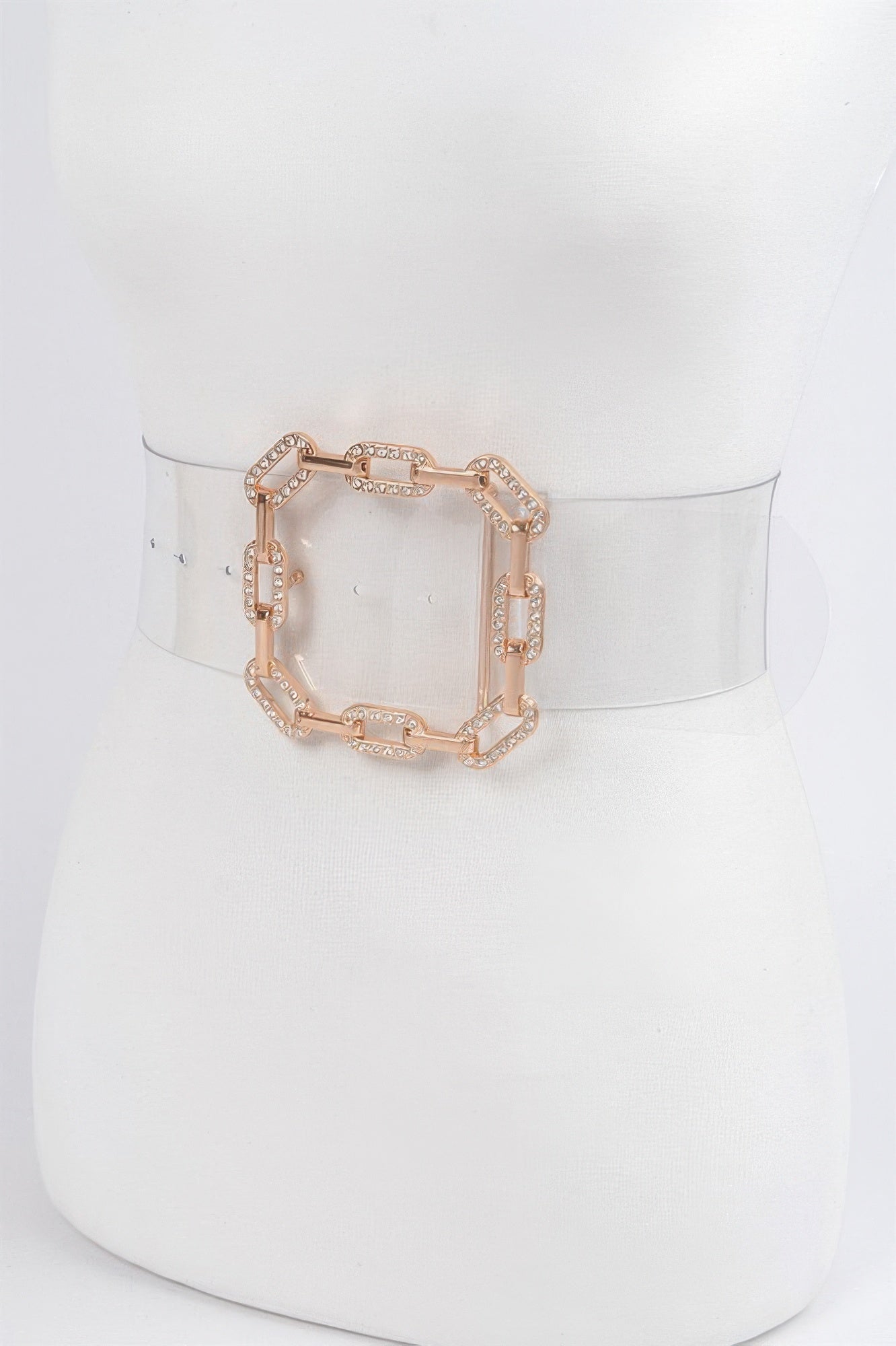 Clear Waist Belt with Metal Hardware Modern Style