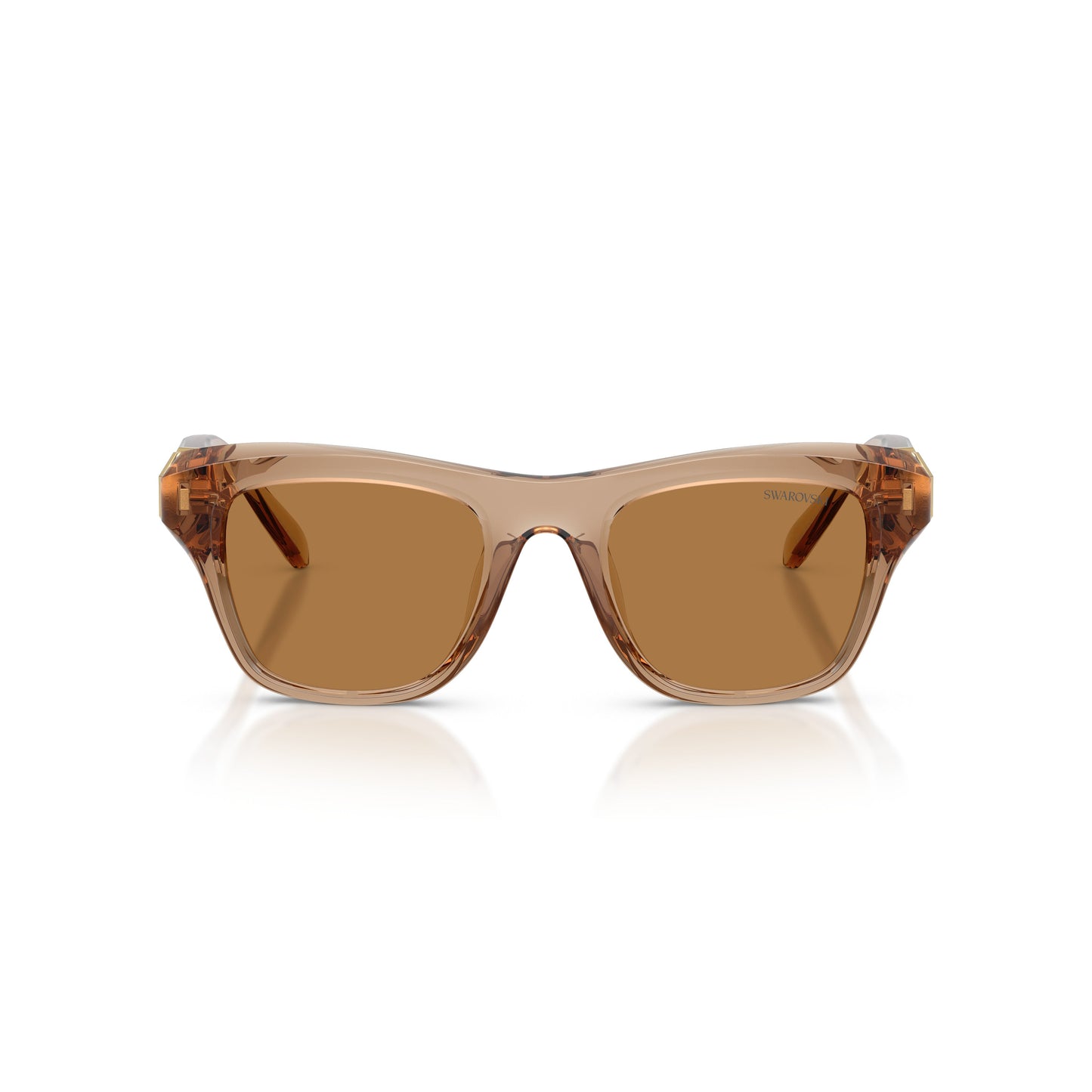 0Sk6056U Translucent Brown Square Sunglasses with Gold-Tone Accents