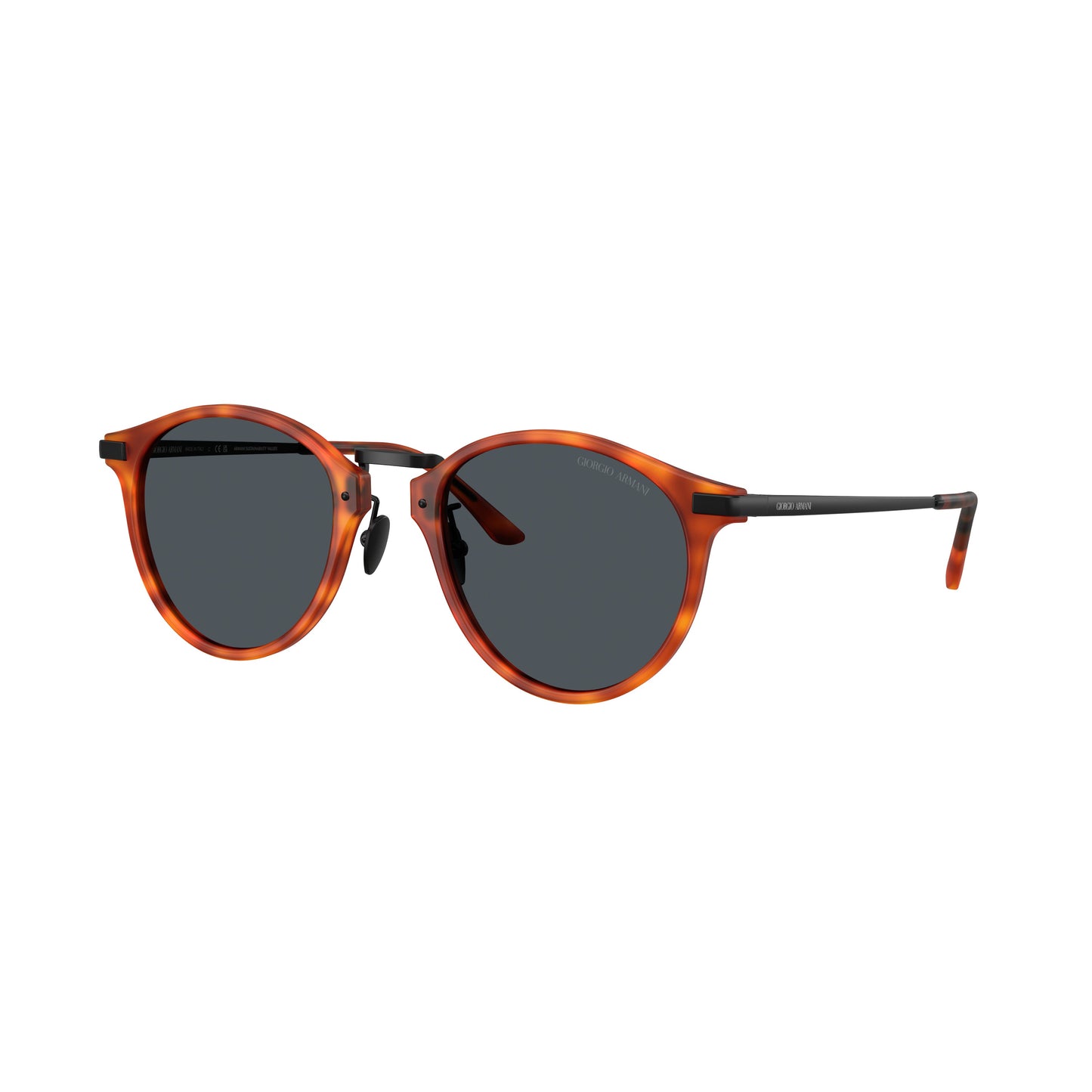 0Ar8250 Tortoiseshell Acetate Sunglasses