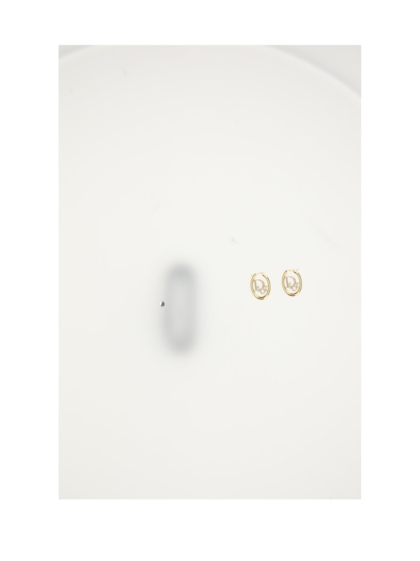 Dior Women Dior Oblique Earrings
