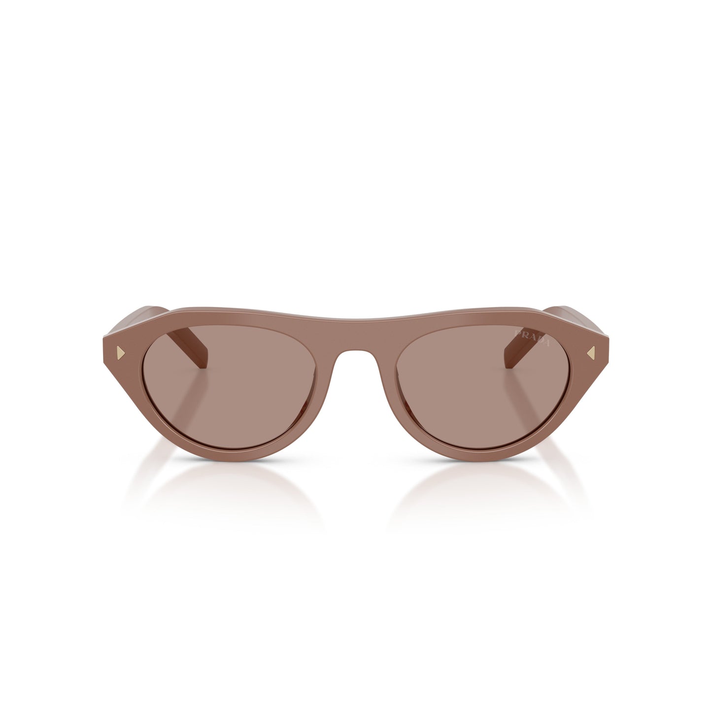 Rounded Cat-Eye Acetate Sunglasses With Gold Accents