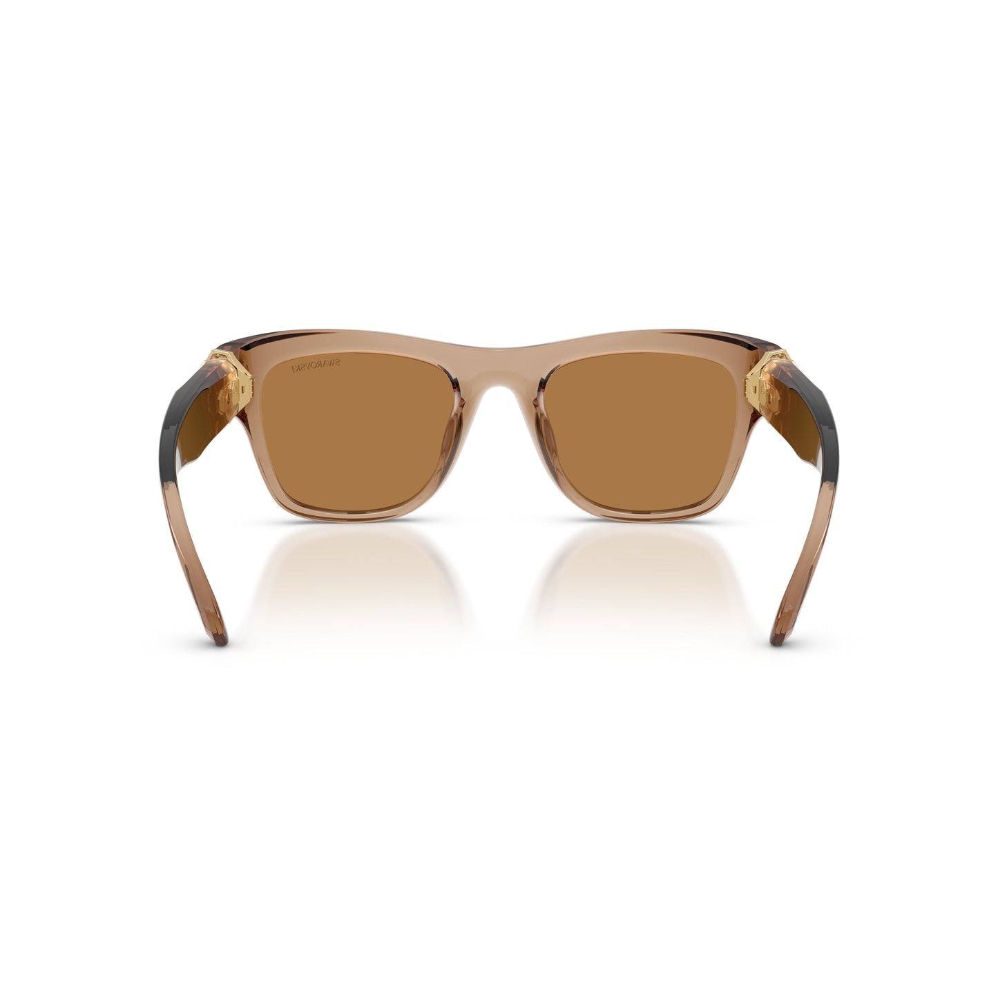 0Sk6056U Translucent Brown Square Sunglasses with Gold-Tone Accents
