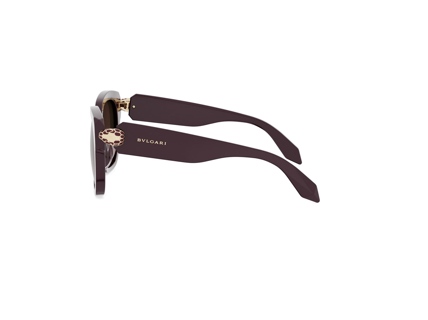 Square Acetate Sunglasses