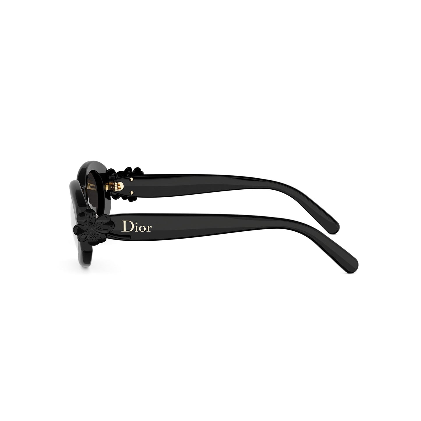Shiny Oval Acetate Sunglasses