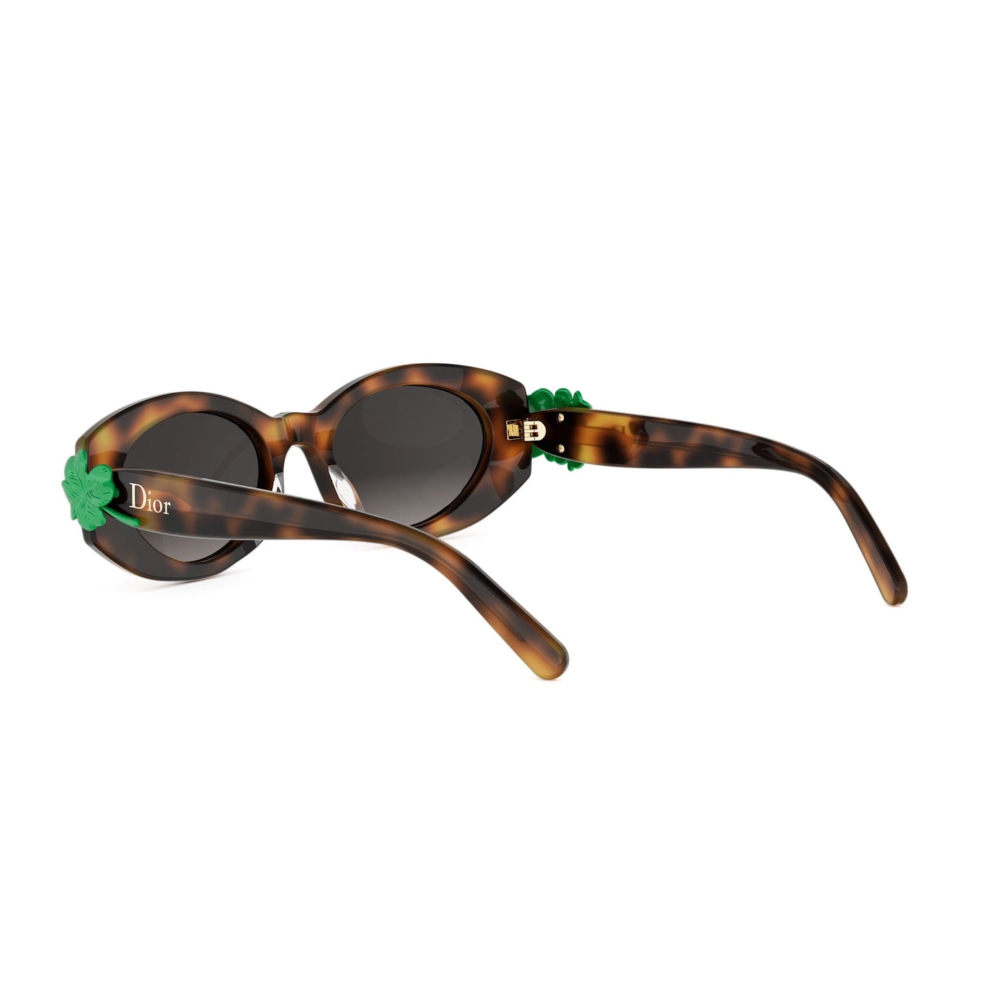 Shiny Oval Acetate Sunglasses