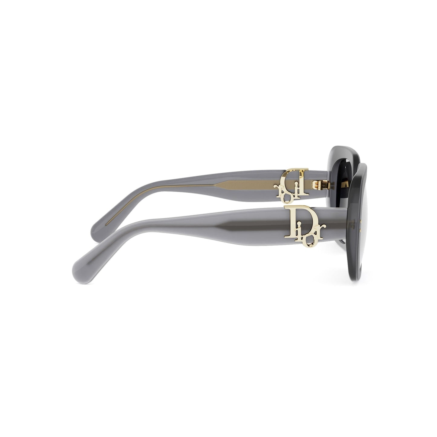 Shiny Square Acetate Sunglasses