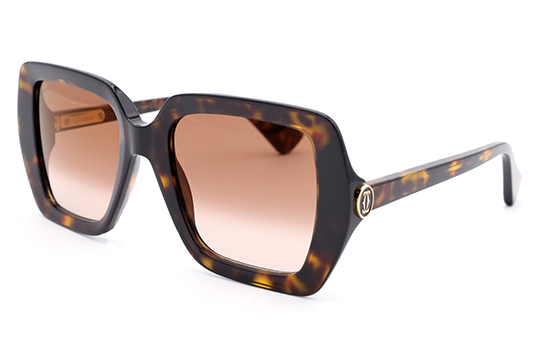 CT0507S Contemporary Acetate Sunglasses