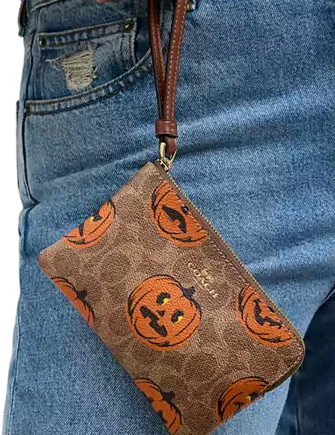 Coach Corner Zip Wristlet In Signature Canvas With Halloween Print