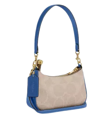 Coach Teri Mini Crossbody Bag In Signature Canvas With Coach Graphic