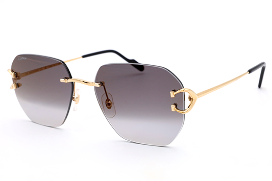 CT0394S Signature C Sunglasses