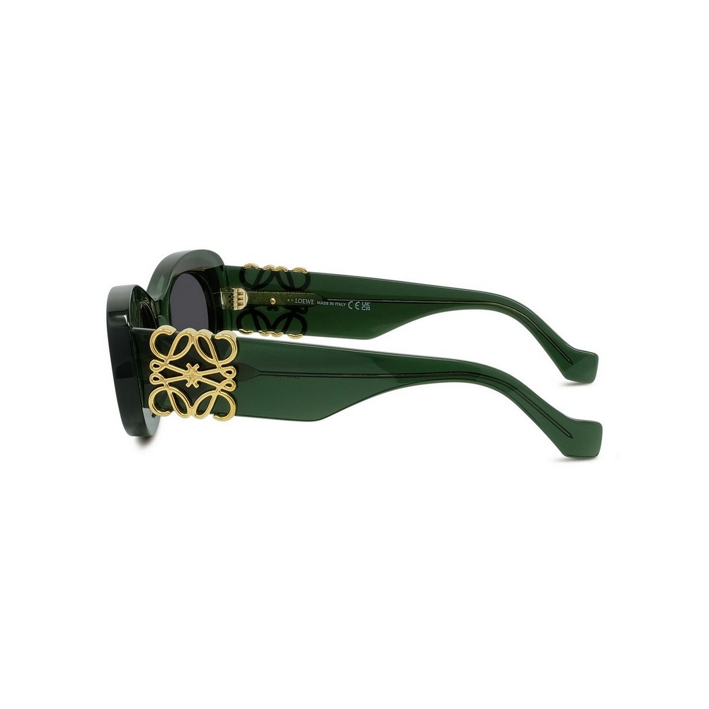 Oval Acetate Sunglasses