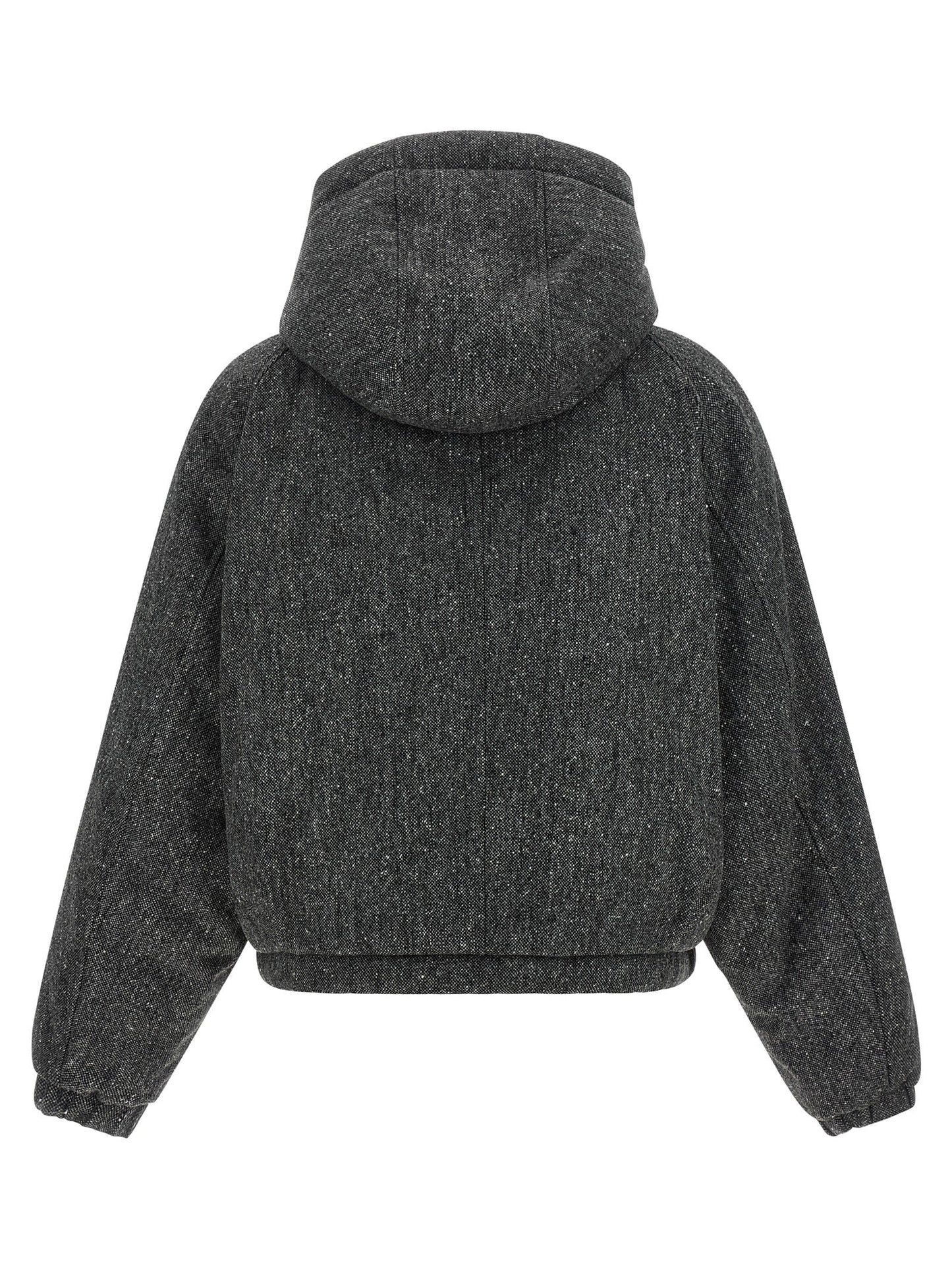 Brunello Cucinelli Women 'Shiny Zipper Pull' Down Jacket