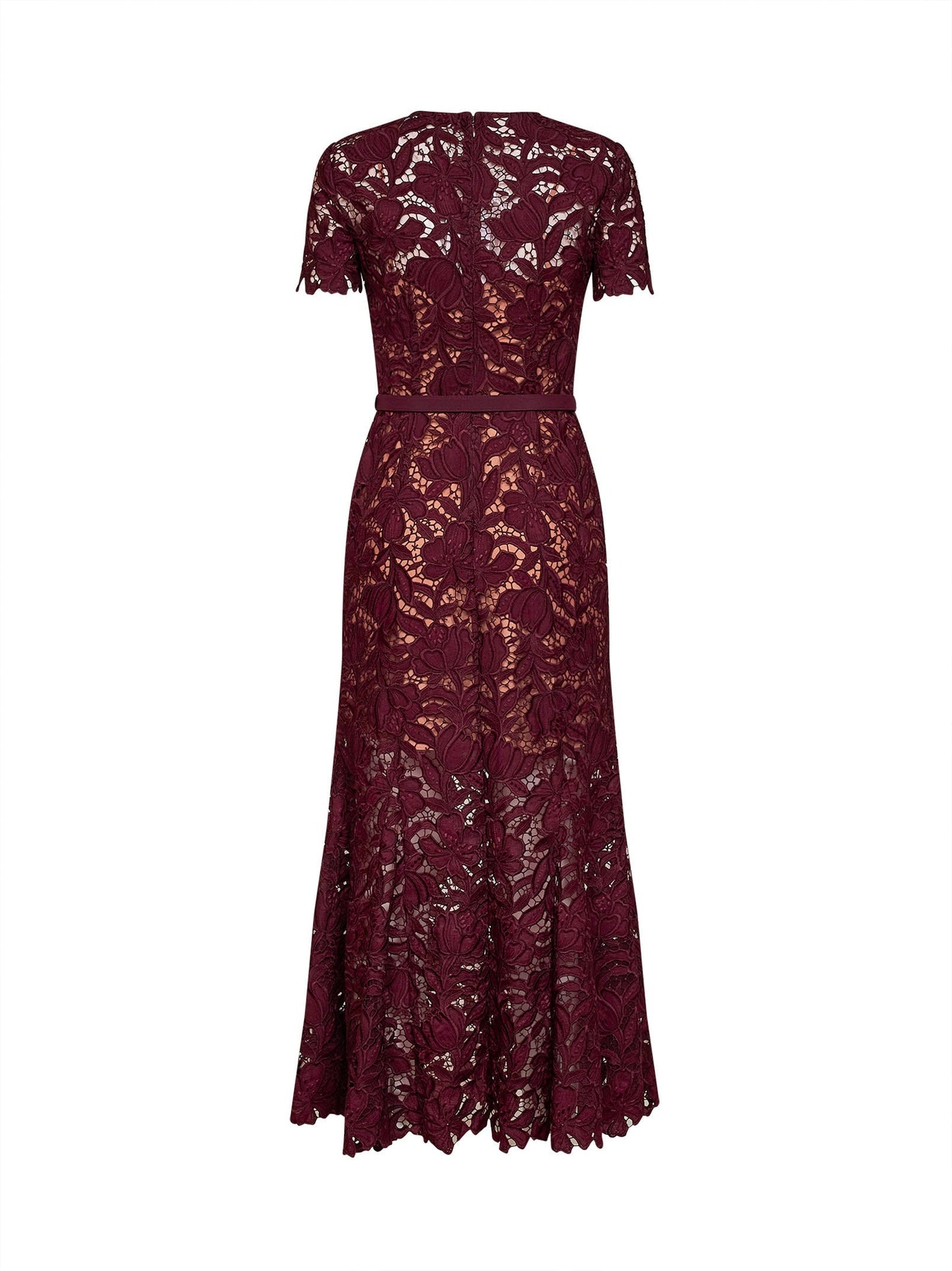 Self Portrait Women Burgundy Macramé Lace Belted Midi Dress