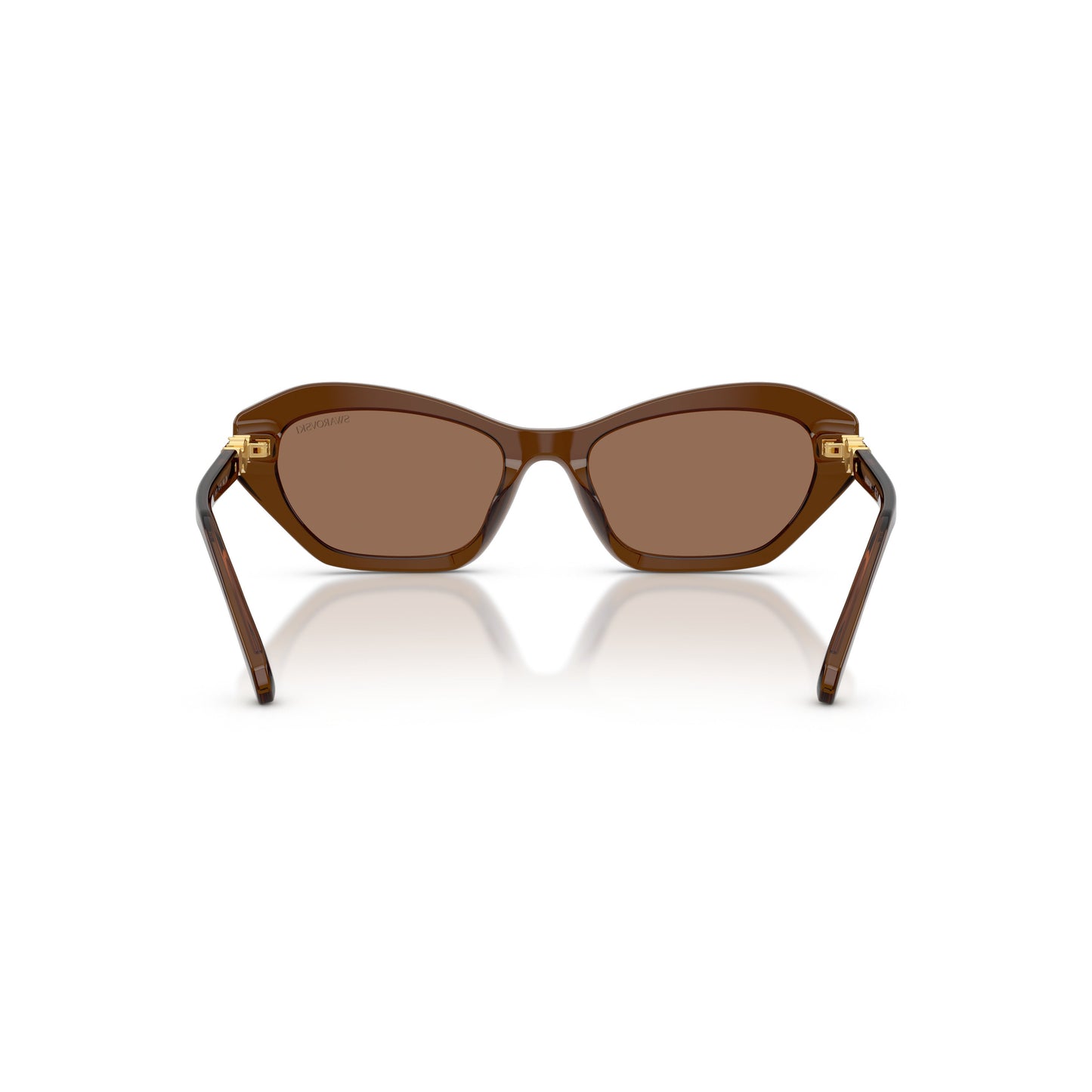 0Sk6048 Geometric Cat-Eye Sunglasses with Gold Accents
