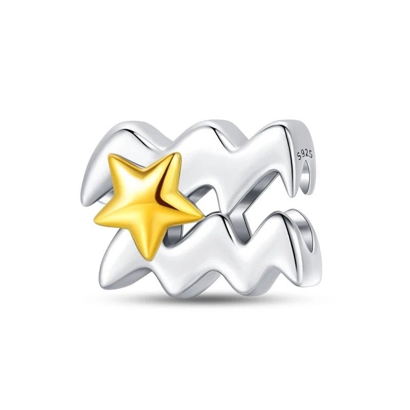 Gold Star Astrology Signs Zodiac Constellation Charms