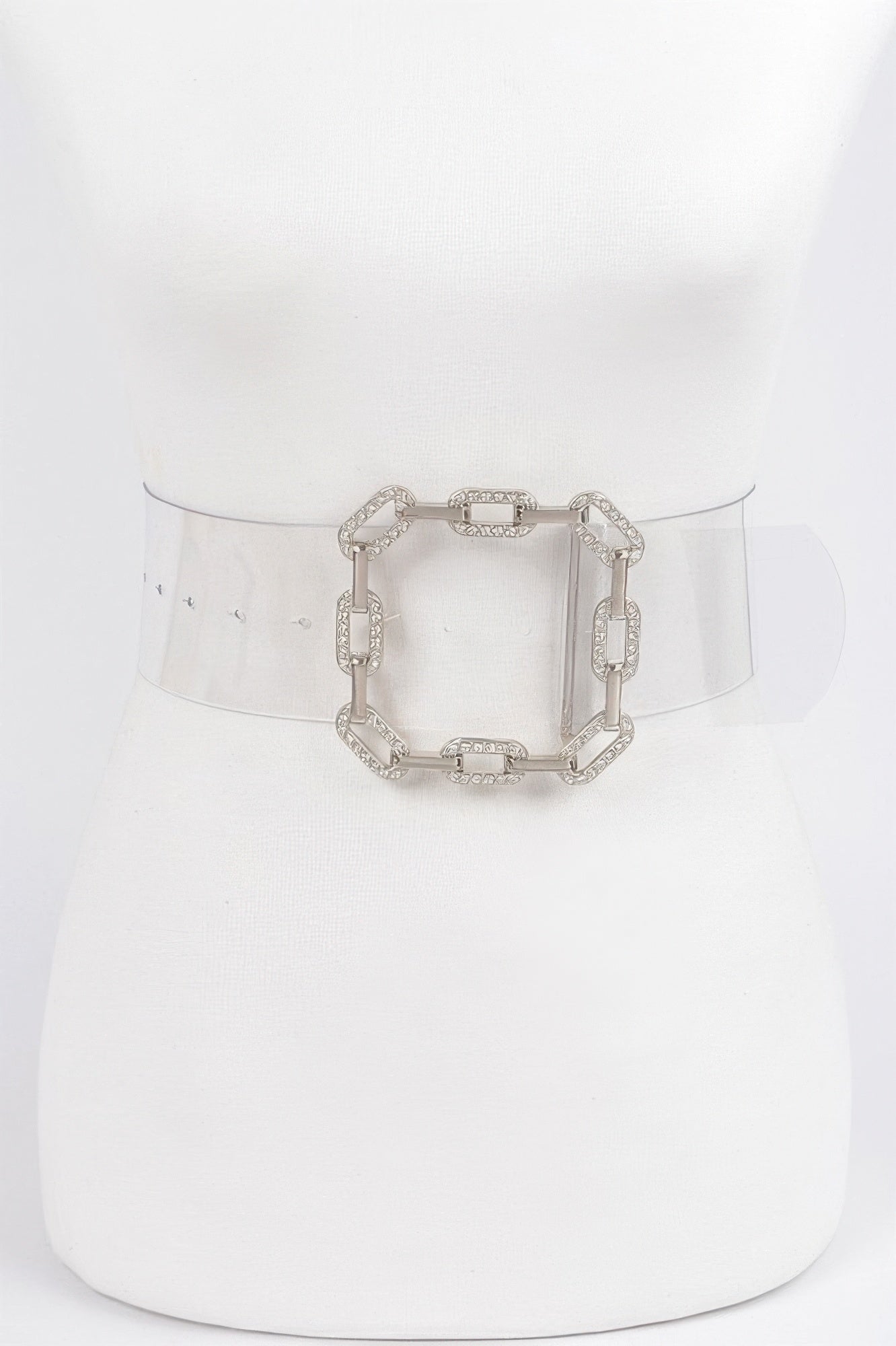 Clear Waist Belt with Metal Hardware Modern Style