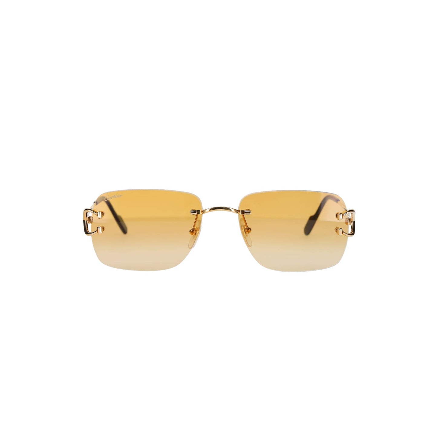 CT0330S Signature C  Sunglasses