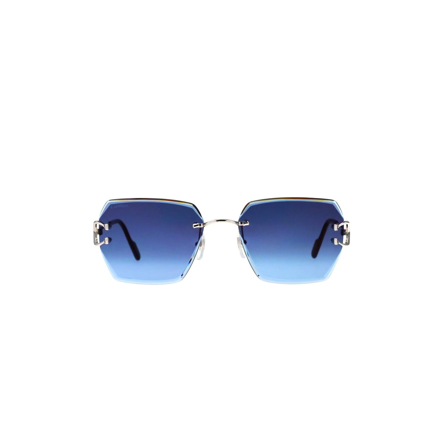 CT0466S  Signature C Sunglasses