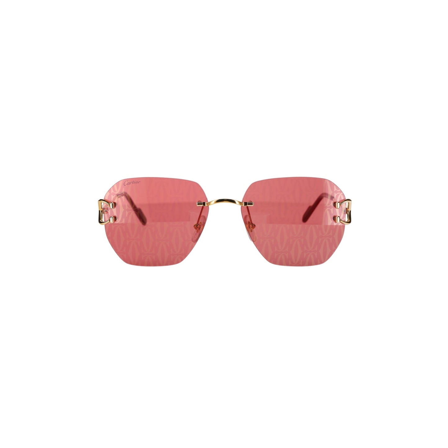 CT0394S Signature C Sunglasses