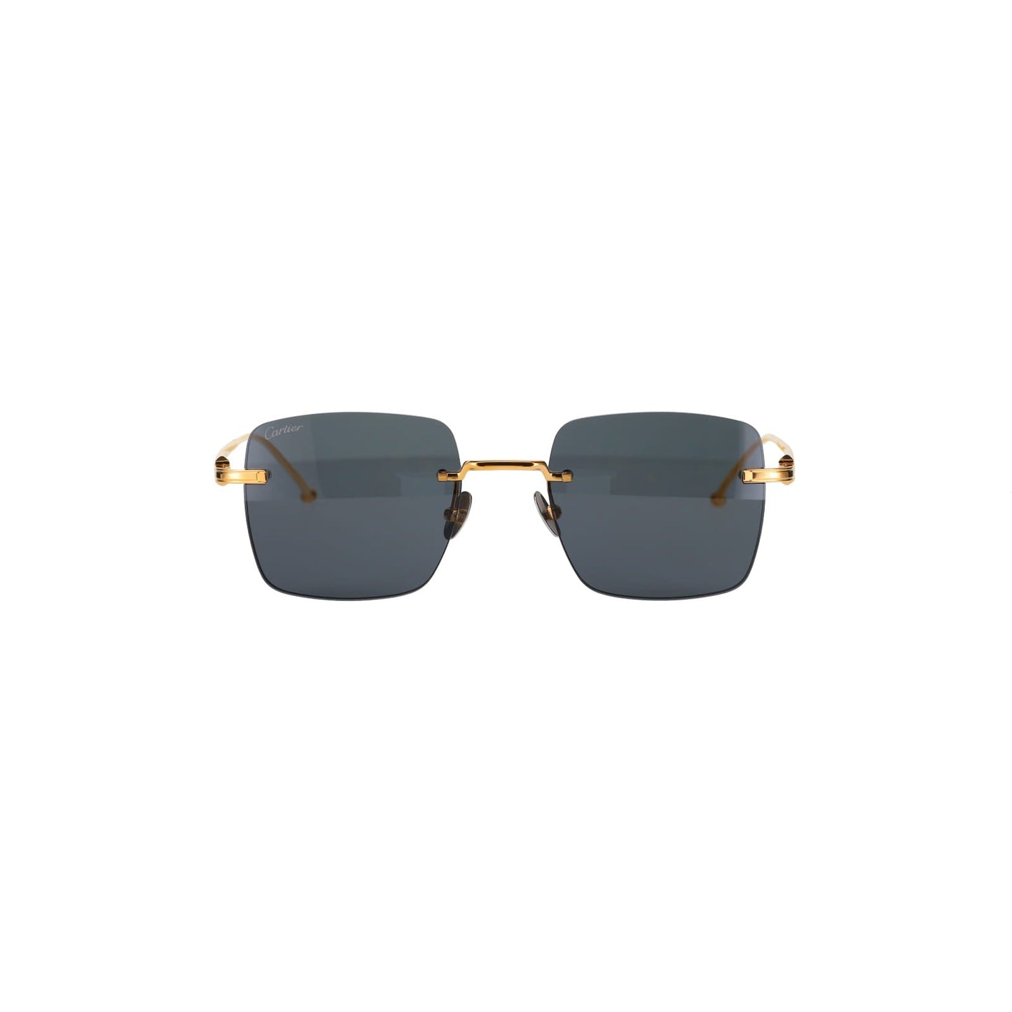 CT0403S Pasha Sunglasses