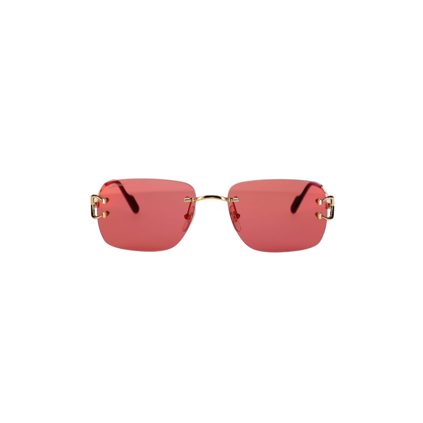 CT0330S Signature C  Sunglasses