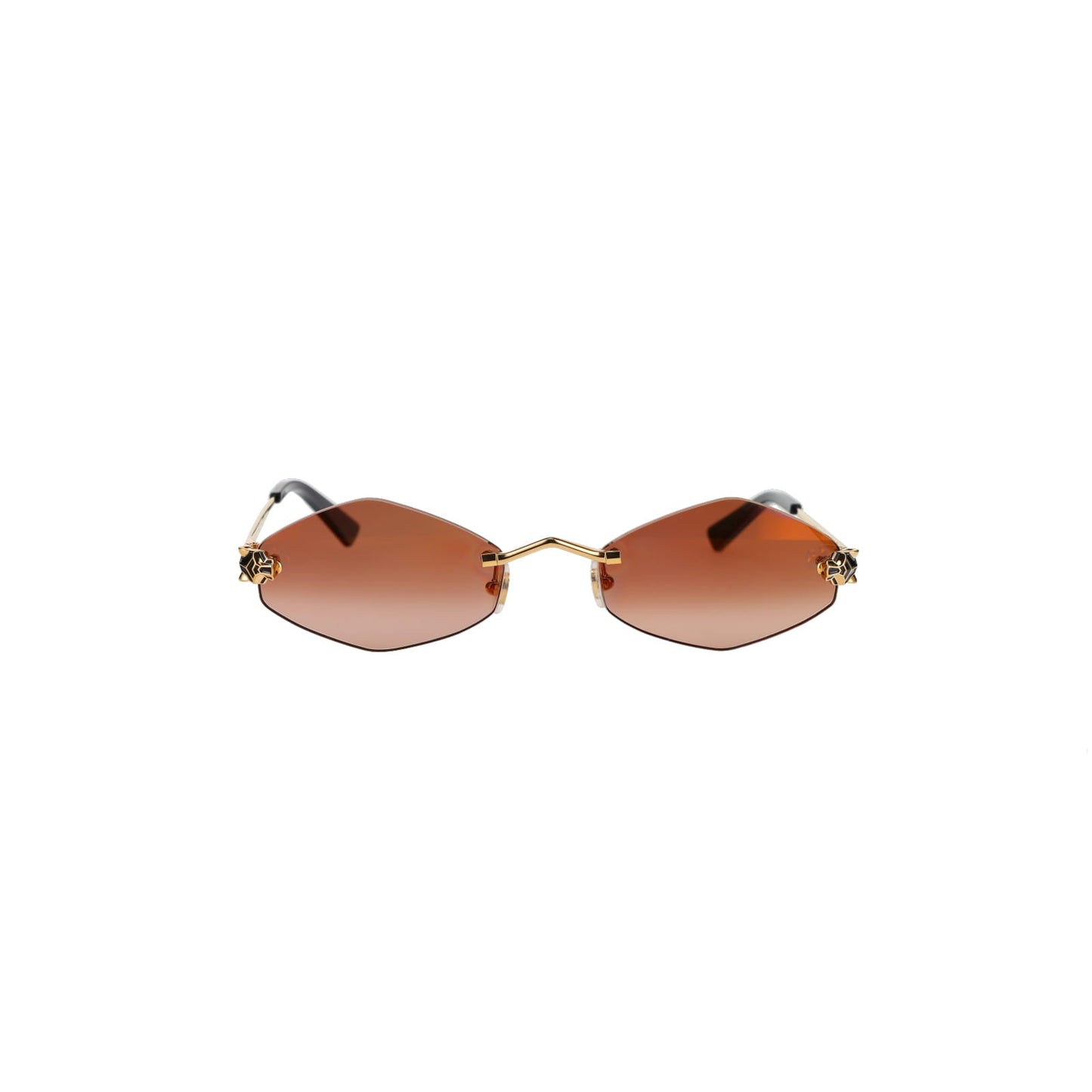 CT0433S Hexagonal Panthère Sunglasses