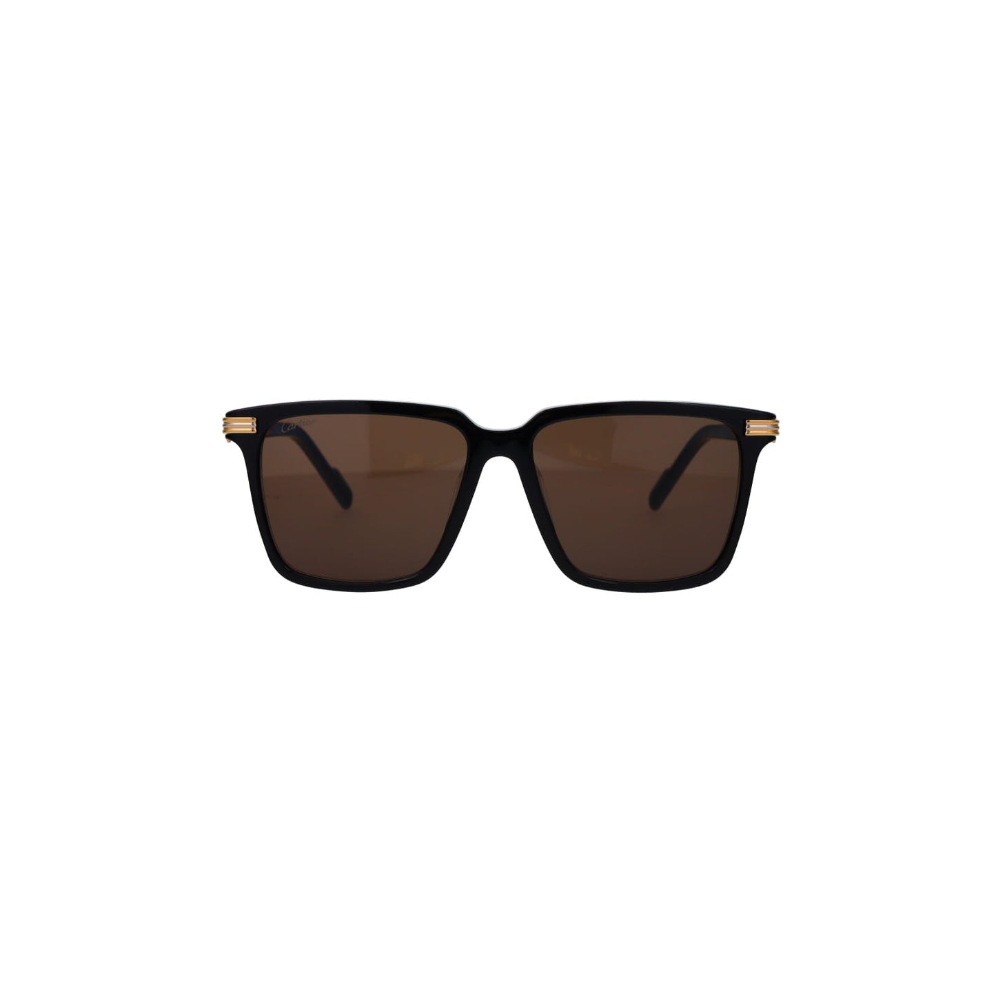 CT0366S Contemporary Acetate Sunglasses
