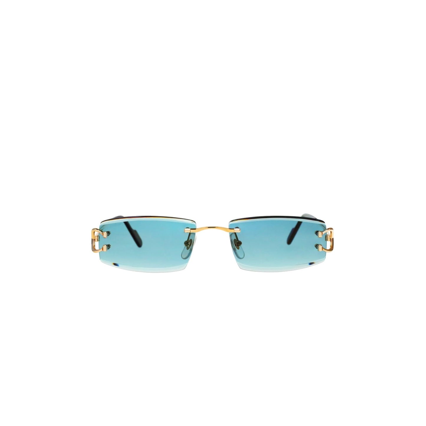 CT0465S Signature C  Rectangular Sunglasses