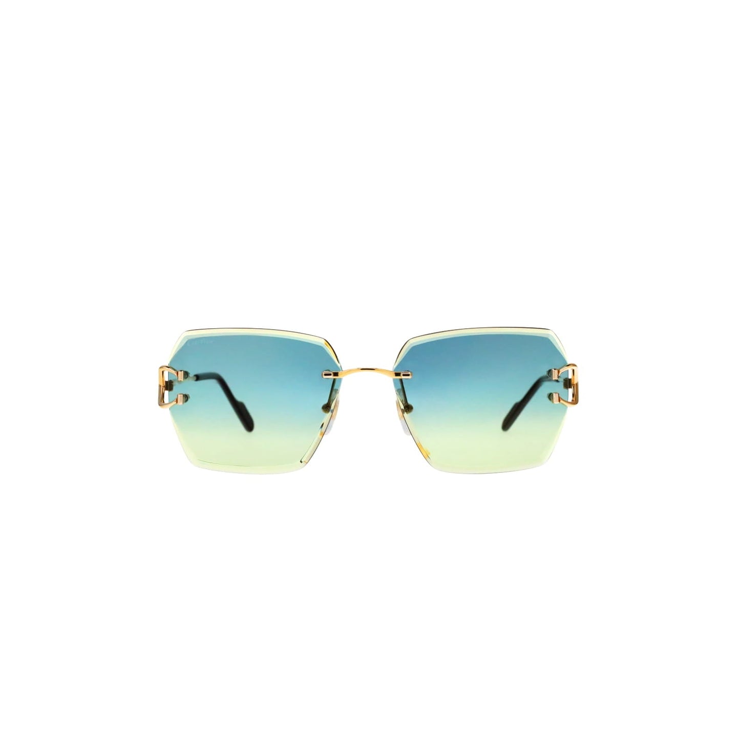 CT0466S  Signature C Sunglasses