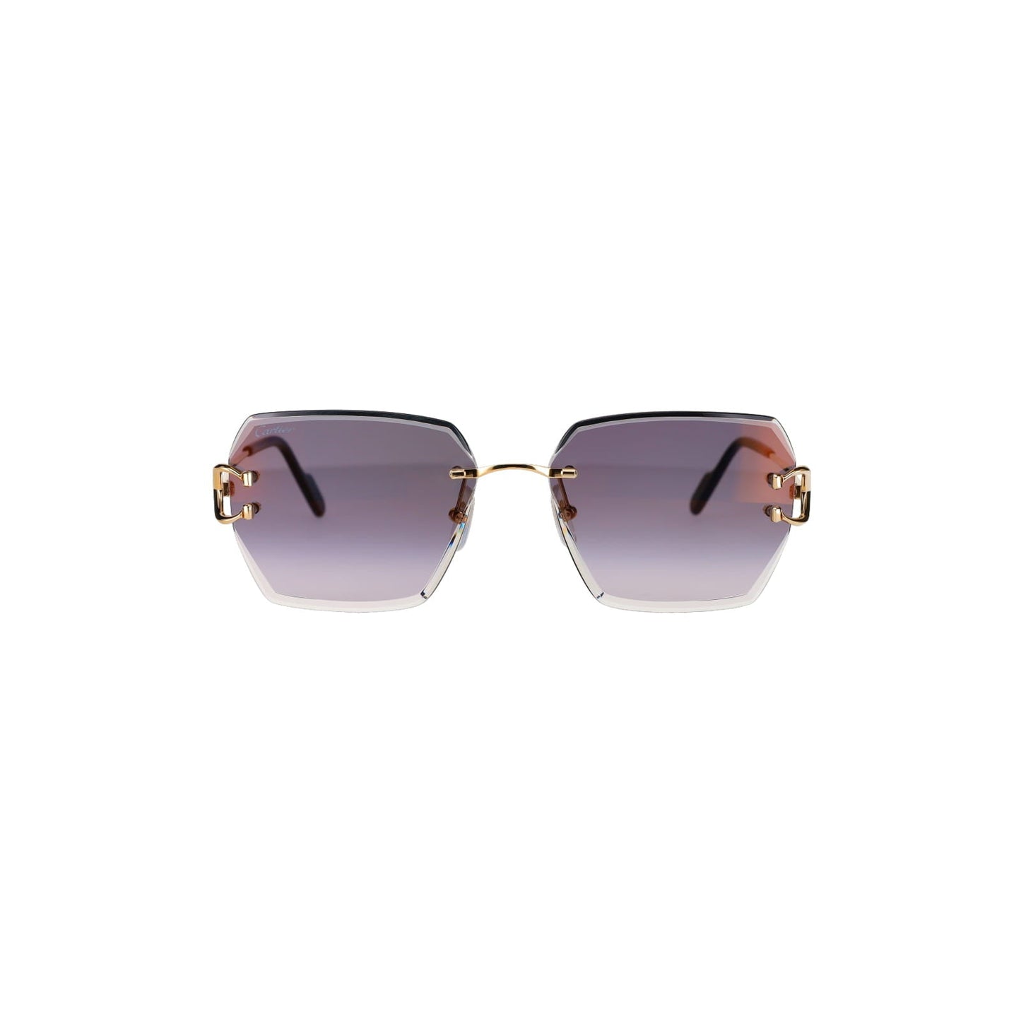CT0466S  Signature C Sunglasses