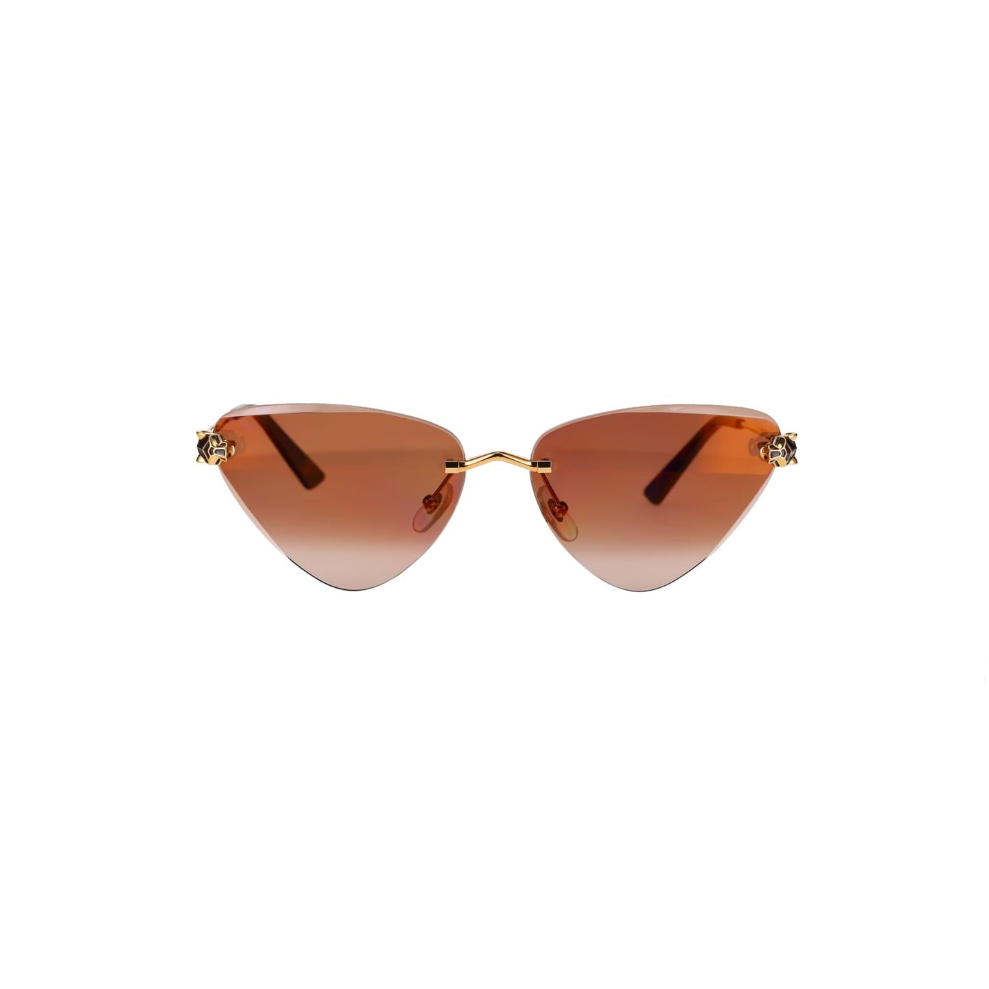 CT0399S Geometric Panthère Sunglasses