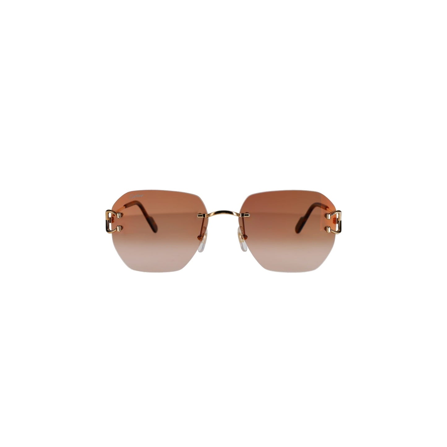 CT0394S Signature C Sunglasses