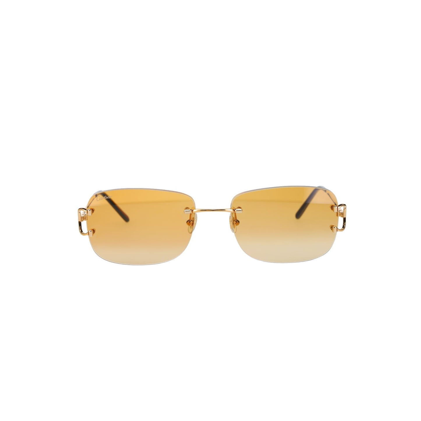 CT0011RS Signature C Sunglasses