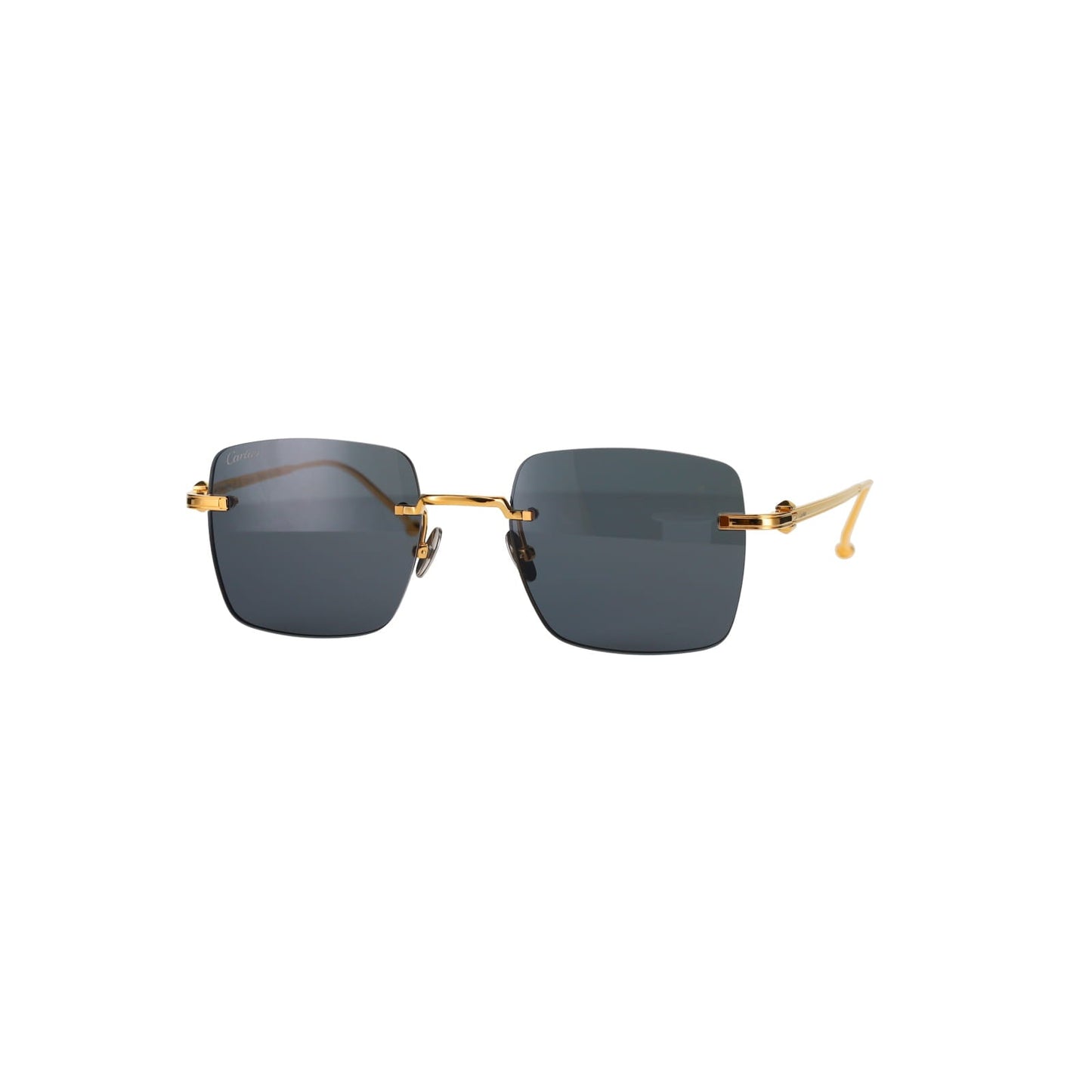 CT0403S Pasha Sunglasses