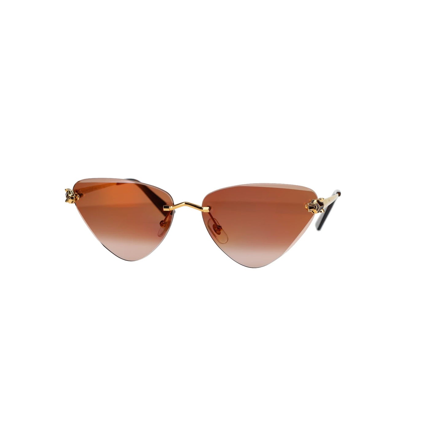 CT0399S Geometric Panthère Sunglasses