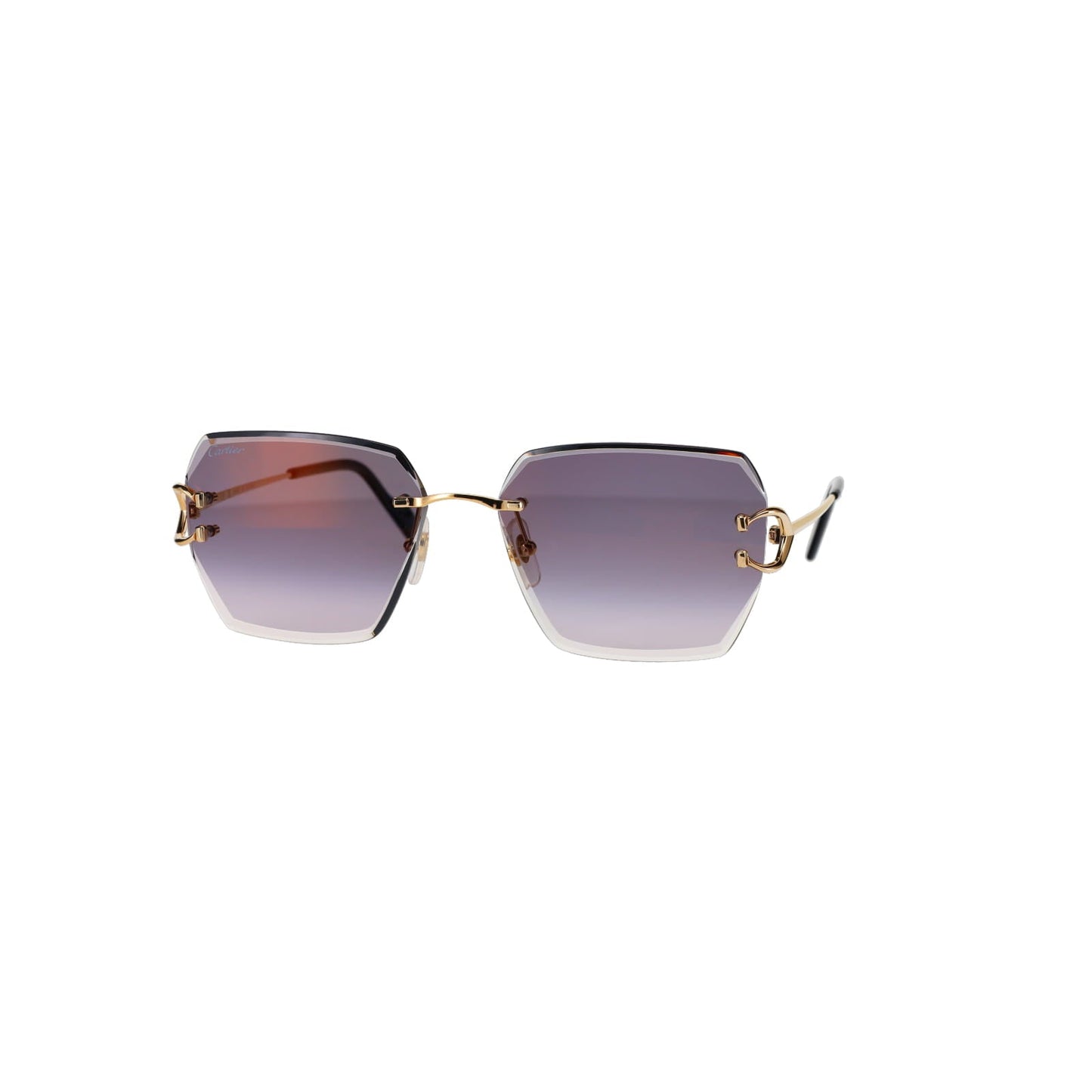 CT0466S  Signature C Sunglasses