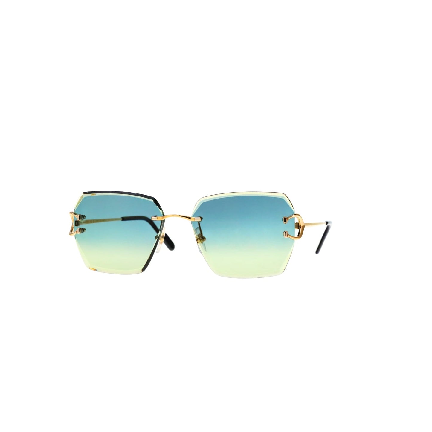 CT0466S  Signature C Sunglasses