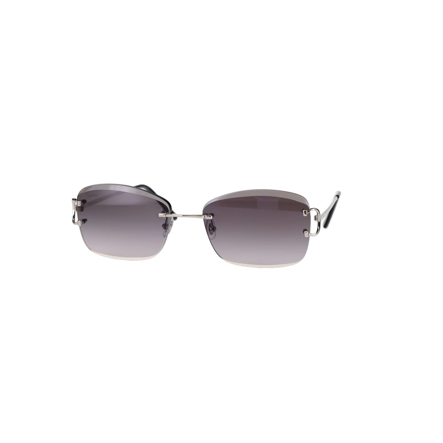 CT0010RS Signature C Sunglasses