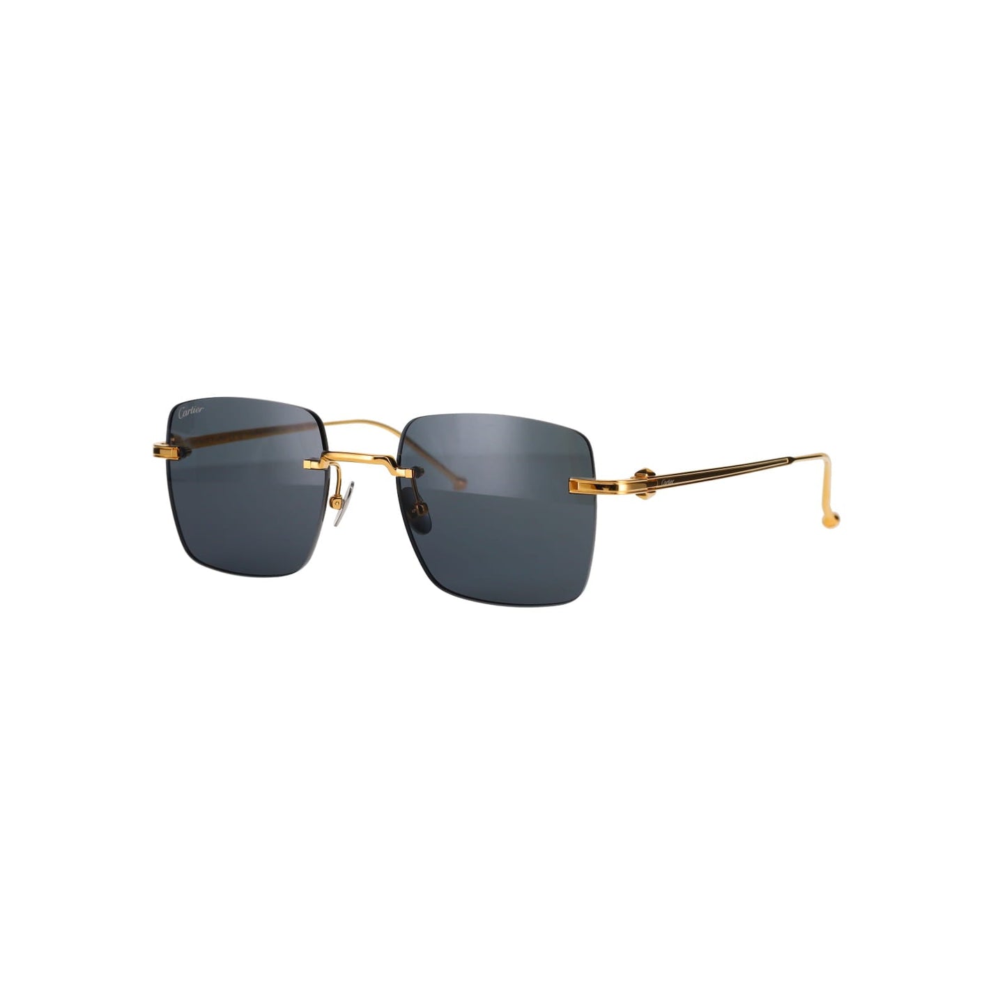 CT0403S Pasha Sunglasses